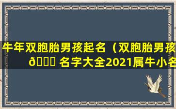 牛年双胞胎男孩起名（双胞胎男孩 🐒 名字大全2021属牛小名）